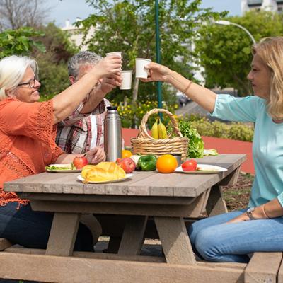 health wellness and dementia webinar series