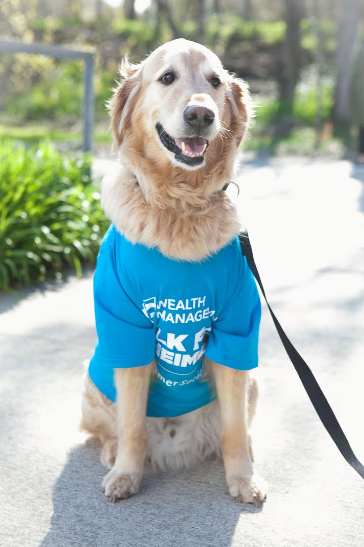 Dog- Light Blue IG Shirt