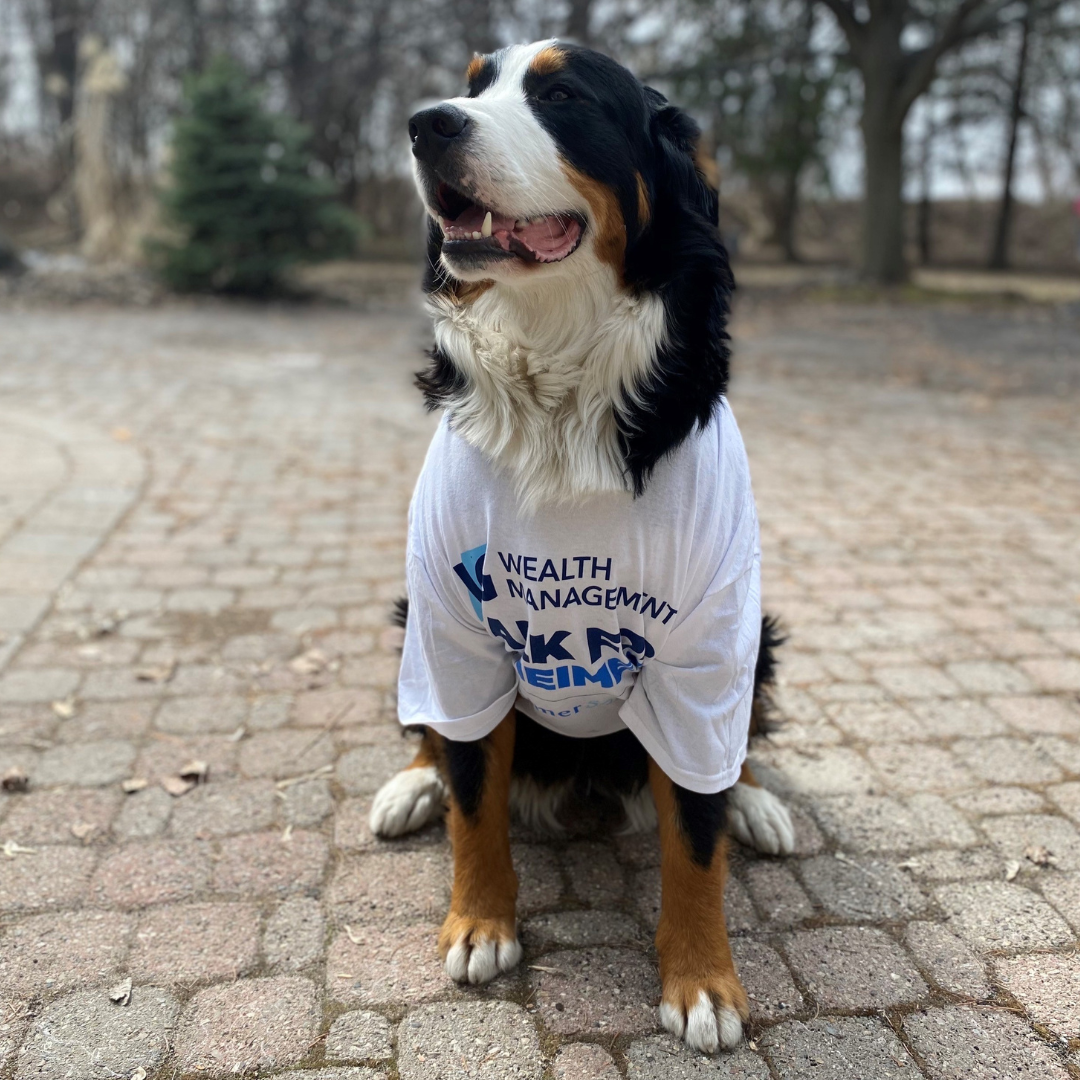 Dog  wearing white IG Shirt