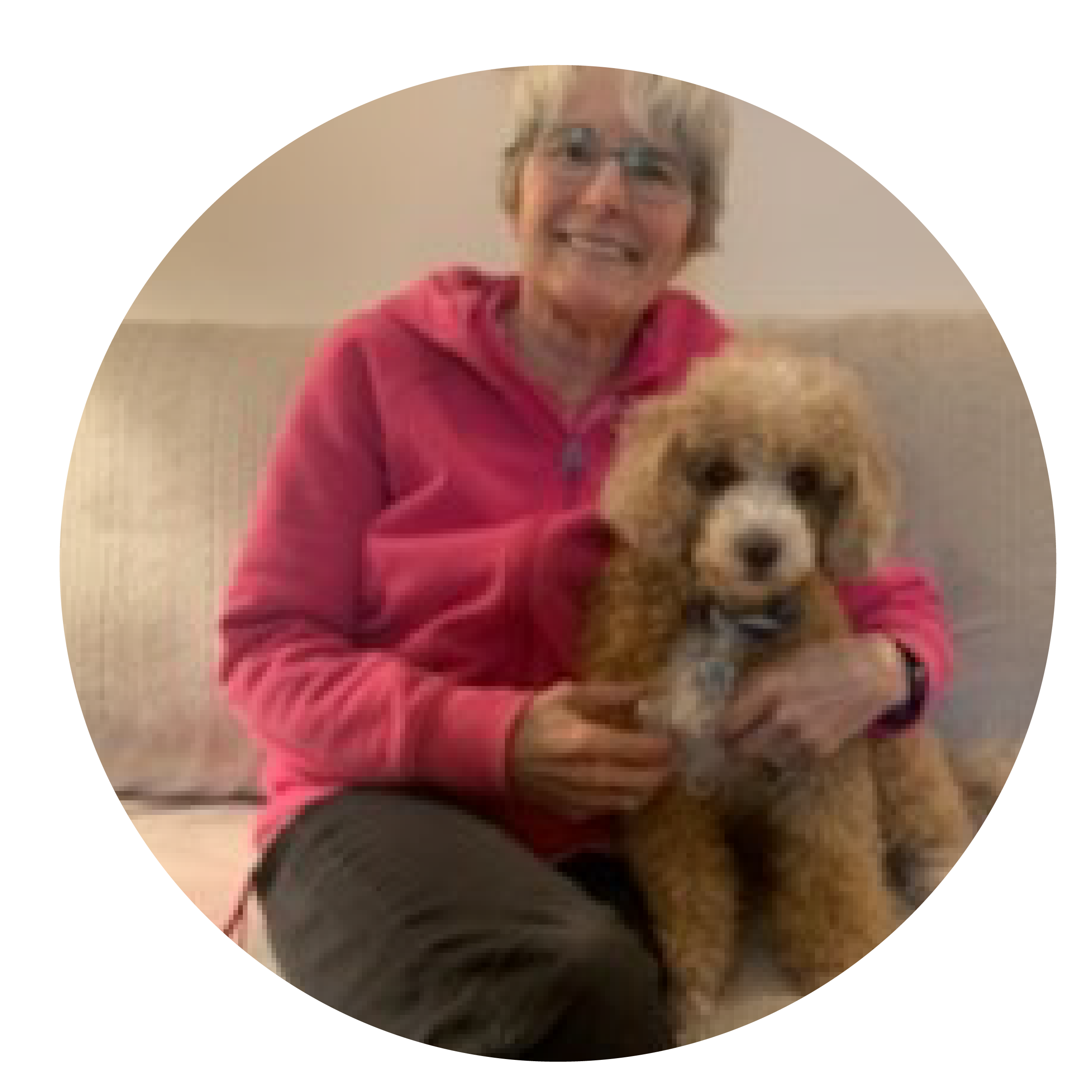 A woman with short grey hair and pink sweater sits on a couch with a small brown dog