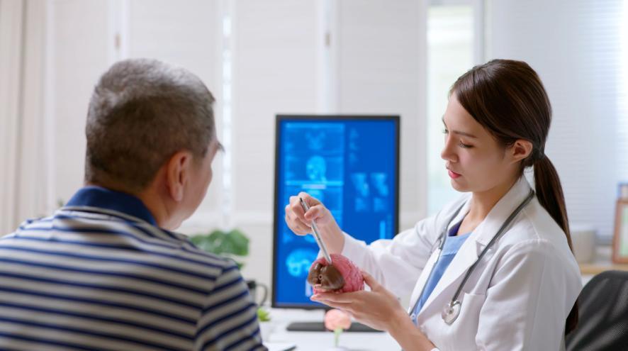 woman-doctor-describing-brain-to-man-patient